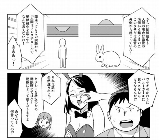 「コレステロールは、健康に悪い」は、まったくの間違い。ウサギさんの実験で誤解が広がっただけです。 