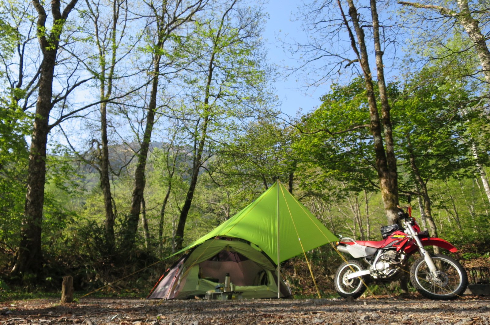 モンベル mont-bell 1122273 ツェルトフライシート SPGN モンベル ツェルトフライシート