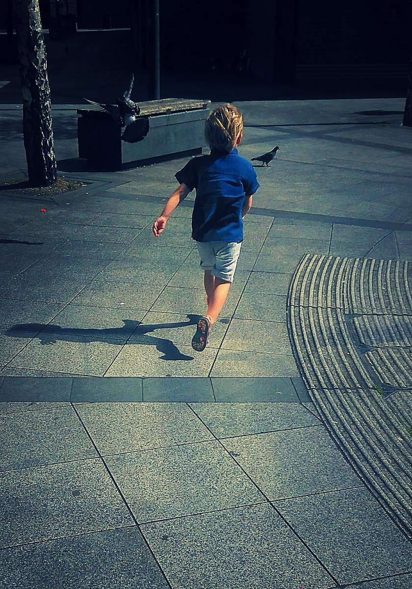 hugobrannick's tweet photo. @LinziLoublou bloody pigeons! https://t.co/sQUcVz8Vmb