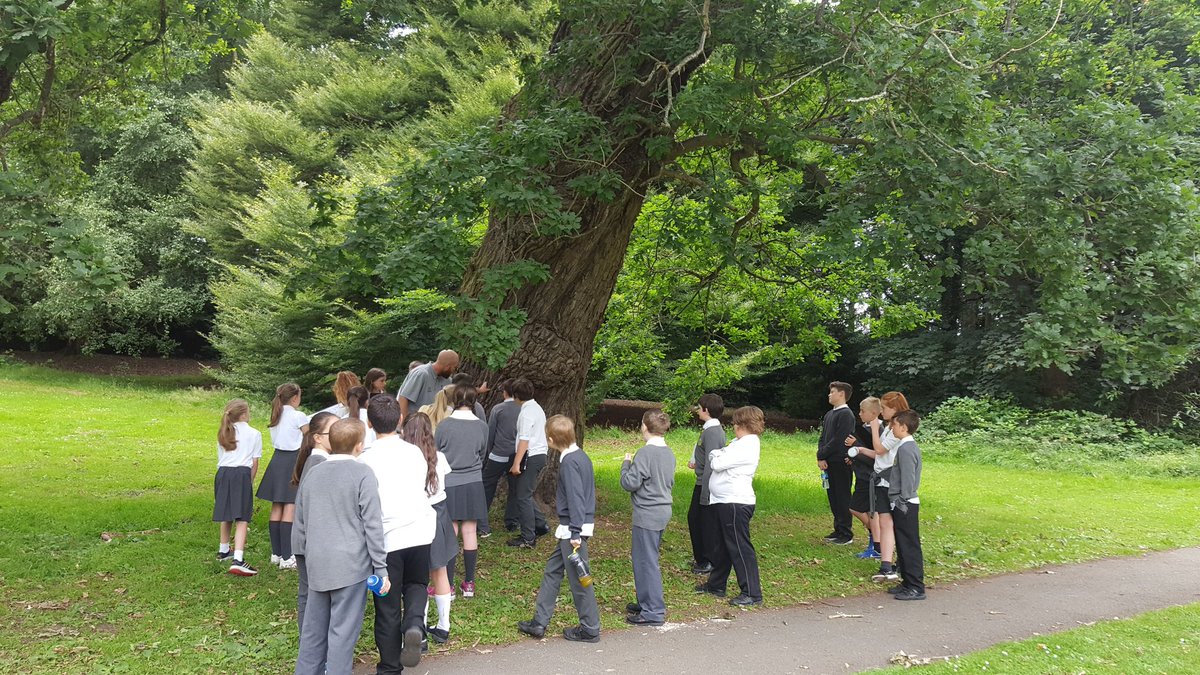 BorrasPark's tweet photo. Year 6 investigating habitats @ActonParkFriend https://t.co/NVfYaq3xUC