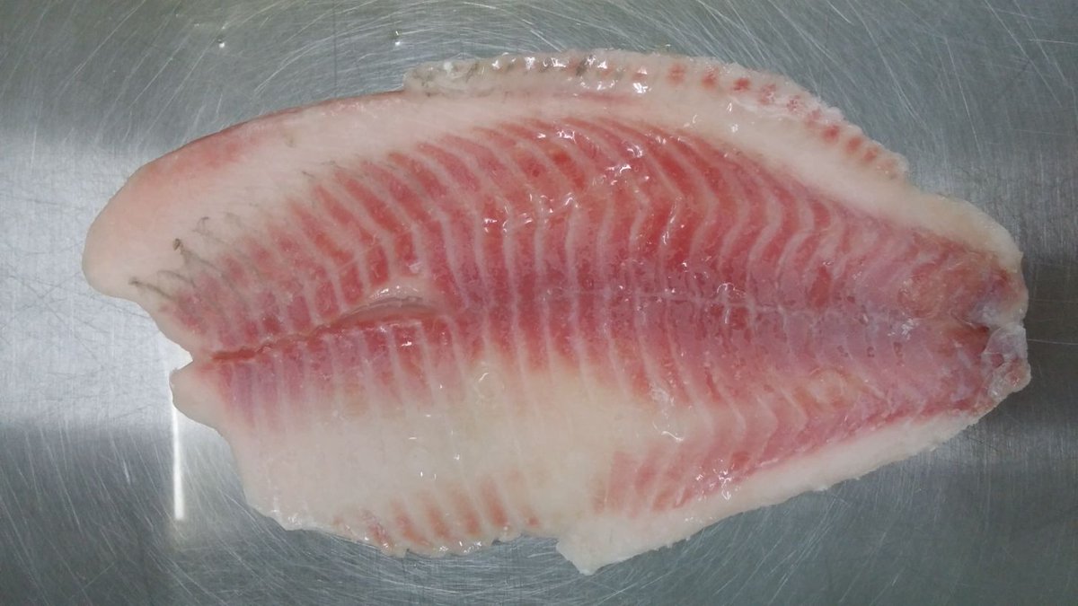 DoubleshellS's tweet image. Tilapia fillets,
boneless, skinless, PBO, co treated, chemical treated, 100% nw
Pack: IQF,bulk, 10LB carton
Size available
3-5oz,5-7oz,7-9oz