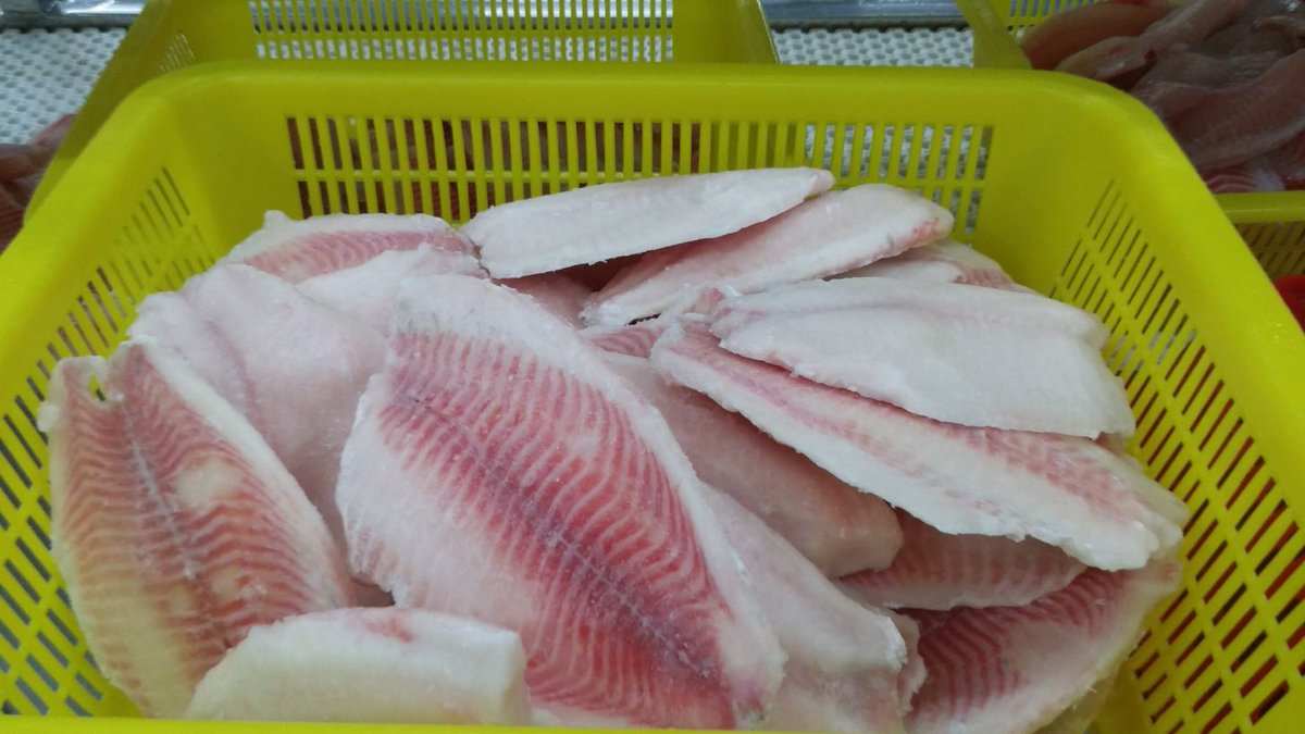 DoubleshellS's tweet image. Tilapia fillets,
boneless, skinless, PBO, co treated, chemical treated, 100% nw
Pack: IQF,bulk, 10LB carton
Size available
3-5oz,5-7oz,7-9oz