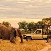 FairExclusive's tweet image. Nog geen vakantieplannen voor deze zomer? Kijk dan eens bij onze reisdeelnemers! http://www.exclusivespringfair.n/exposanten  #vakantie #sun