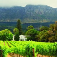 FairExclusive's tweet image. Nog geen vakantieplannen voor deze zomer? Kijk dan eens bij onze reisdeelnemers! http://www.exclusivespringfair.n/exposanten  #vakantie #sun