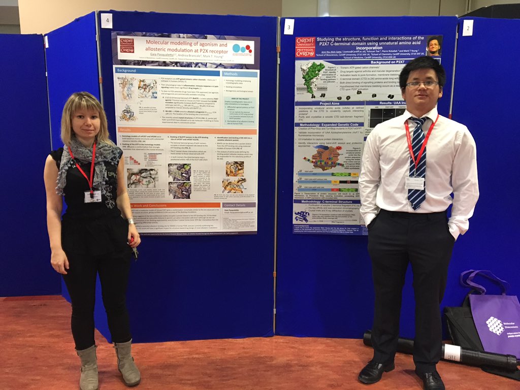 swsbc18's tweet photo. More posters! π #swsbc17 https://t.co/jqIHIZ1Xr4