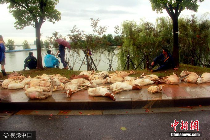 View image on Twitter