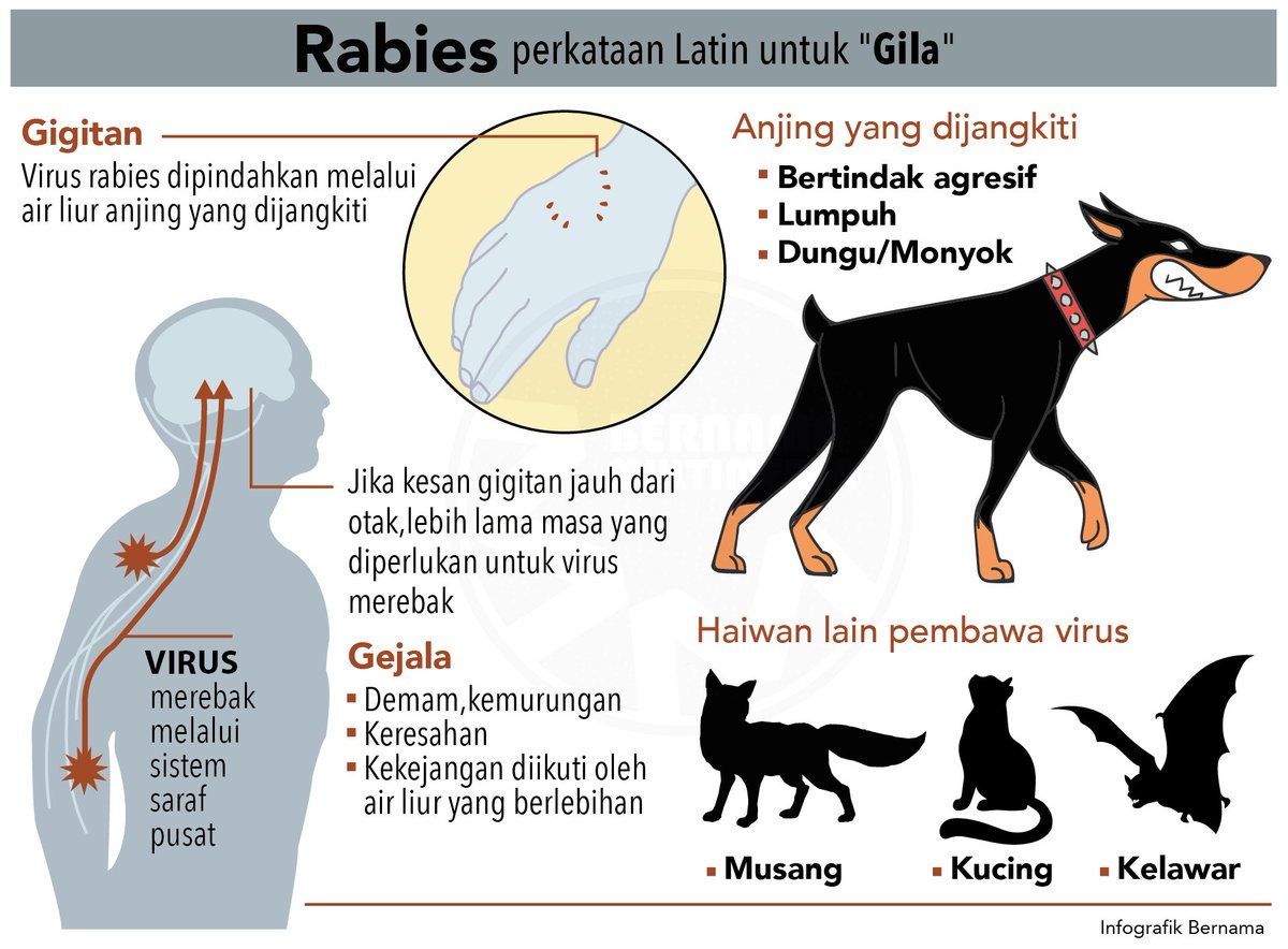 Penyakit anjing gila