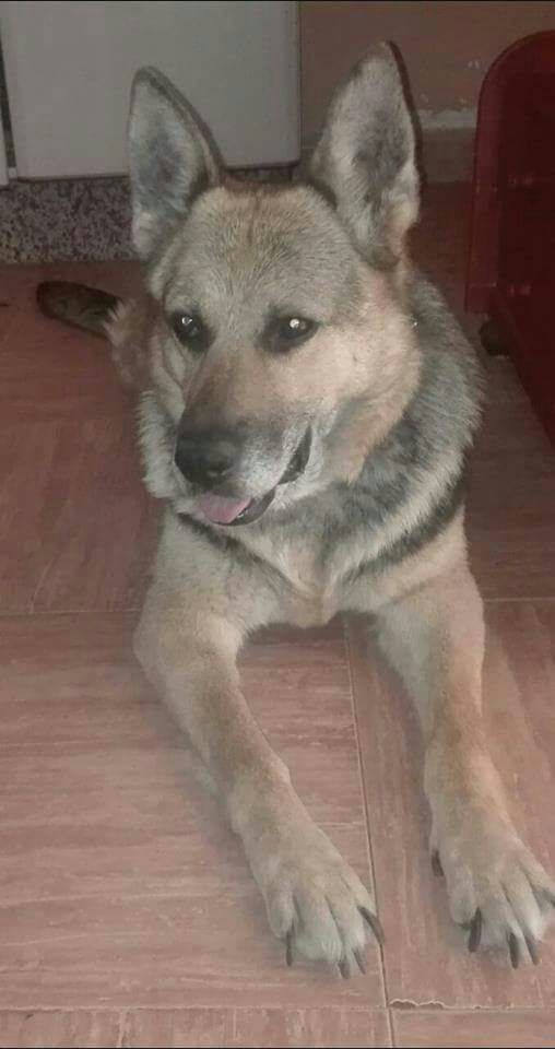 Cualquier donación o difusión es de gran ayuda. Gracias.