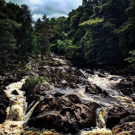 RoyalDeesideCDC's tweet photo. Regram: #riverdee #aberdeenshire #salmon #royaldeeside #feugh #fallsoffeugh 📷: @semiquaver76 https://t.co/A1E8RoCbAp via #Instagram https://t.co/9nCZ3IbncQ