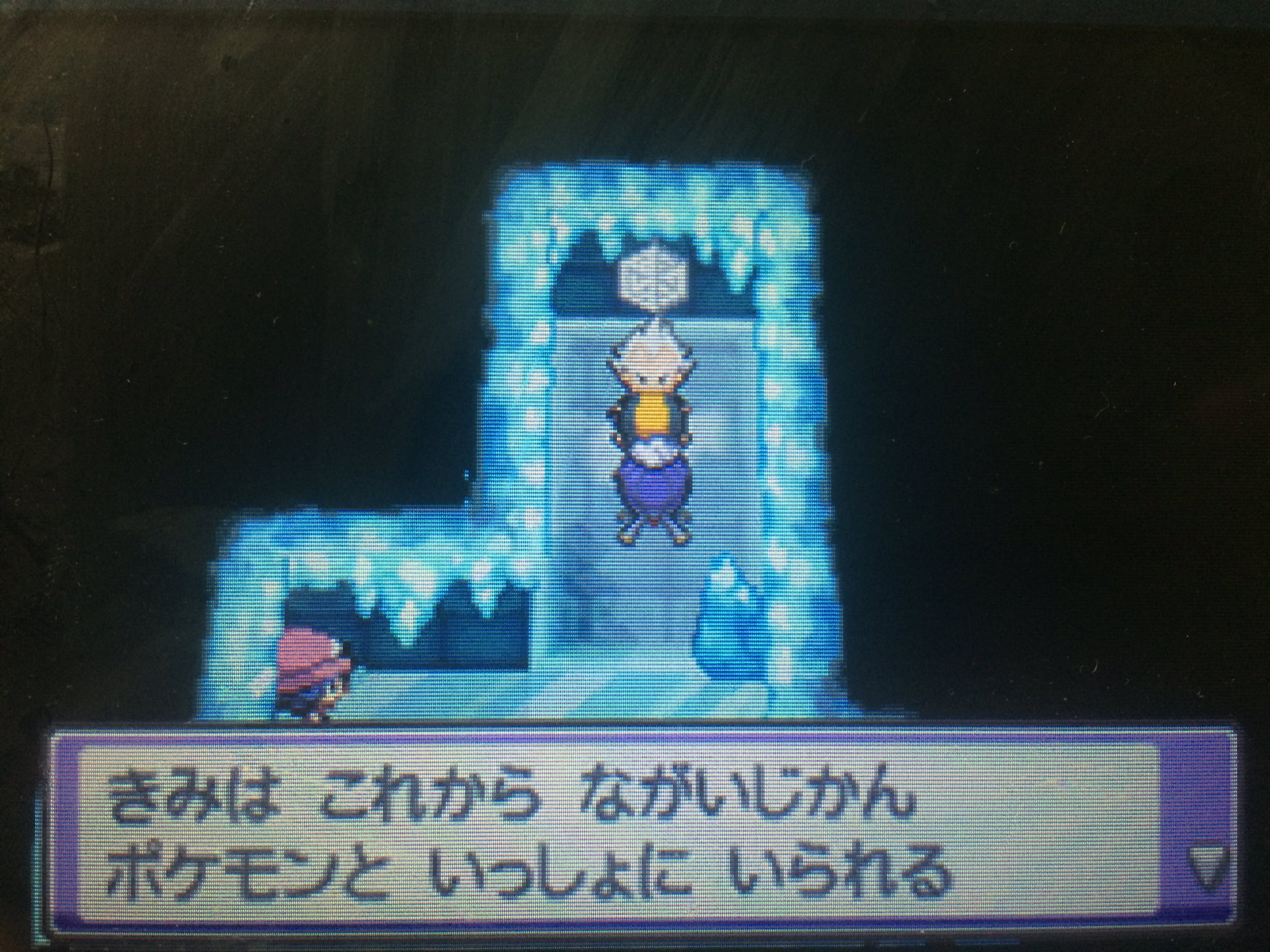 ポケモンハートゴールドフワライド単騎縛り Twitter