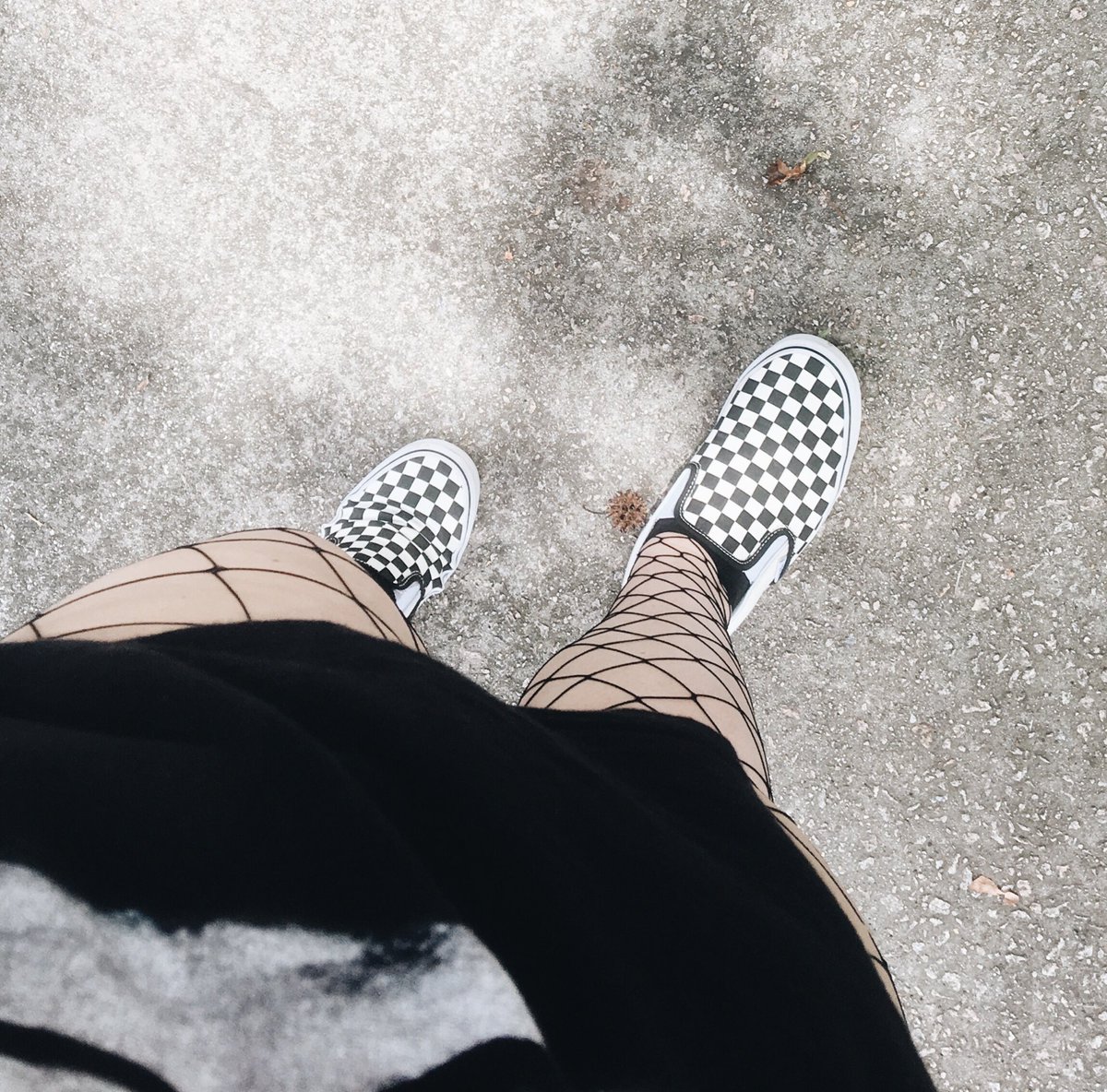 ptvxturtle's tweet image. 🦇