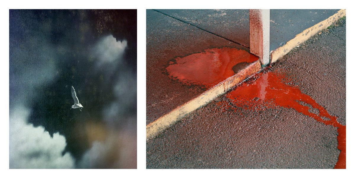 Shane Rocheleau and Brian Ulrich, The Oak + Site of the Death of Edward Jones; from the series A Glorious Victory. Part of the Summer Open!