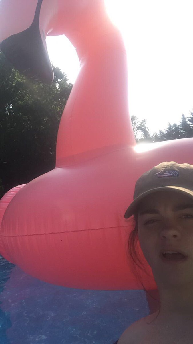 allileft7's tweet photo. Cute pics so far from summer '17 #ripflamingo https://t.co/m4Zwfim49k