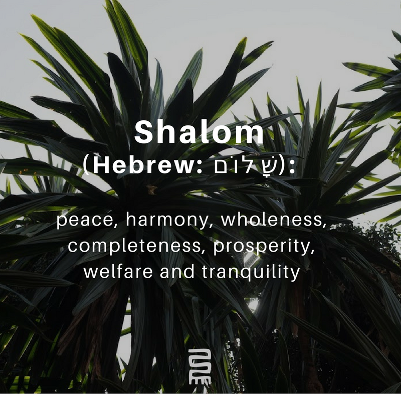 AmaniYaJuu's tweet photo. Shalom: שָׁלוֹם, Hebrew word meaning peace, harmony, wholeness, completeness, prosperity, welfare and tranquility #peacefromabove https://t.co/LiH6hy991U
