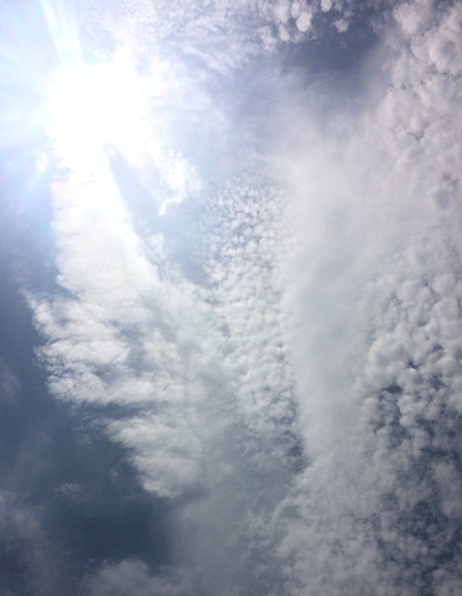 朔 綺麗な空だったから写真を撮りたくて でも眩しくて見上げられなかったから 携帯だけ上に向けて撮影した 携帯カメラ的には本当は良くないんだろうけど どうやら太陽まで撮っちゃったみたい ああ 夏の空だなぁ 空 夏 雲 太陽