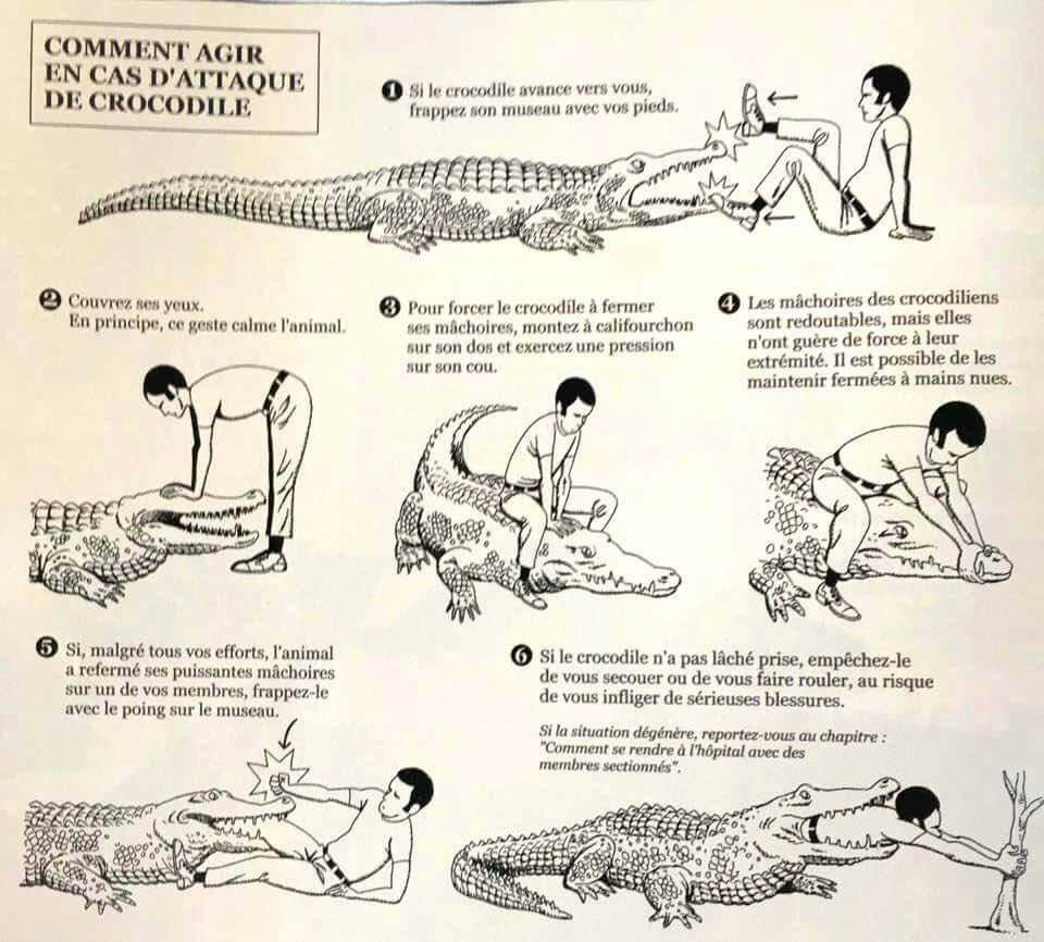 Как себя вести, если напал крокодил DE-RW7UWAAAgGnB
