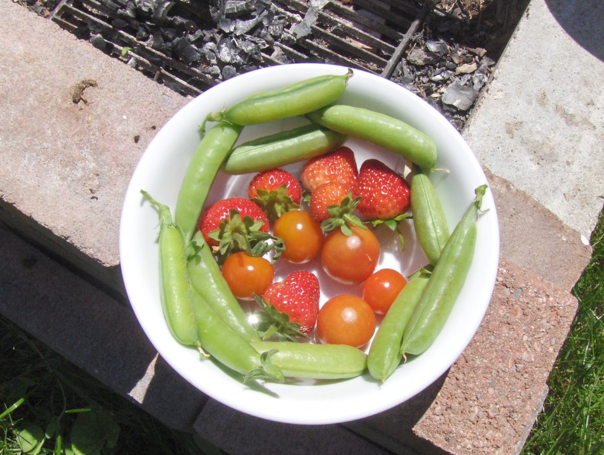 Ron's lunch from his #squarefootgarden in OH. #squarefootgardening