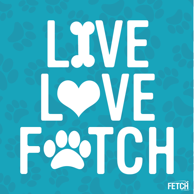 gofetchfordogs's tweet photo. #LiveLoveFetch #MotivationMonday #goals #gofetchfordogs #happyandhealthydogyears https://t.co/evRiRGaLuB