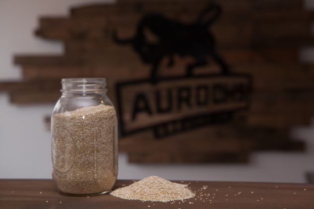 BrewReserve's tweet photo. The masters of #glutenfree #beer ~ @AurochsBrewing Learn how they do it here: https://t.co/NHbvVgLkZ5
#beertour #craftbeer #beerlove https://t.co/5K97Ns8aw6