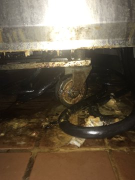 View image on Twitter