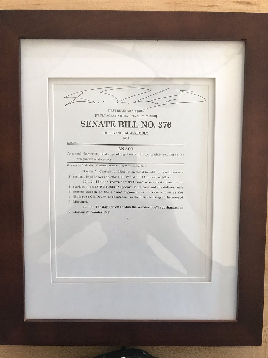 BobOnderMO's tweet photo. The perfect birthday presents for my dog loving parents both born in mid July! @DLHoskins @EricGreitens #moleg #OldDrum #JimtheWonderDog https://t.co/x8wMW8ZfMn