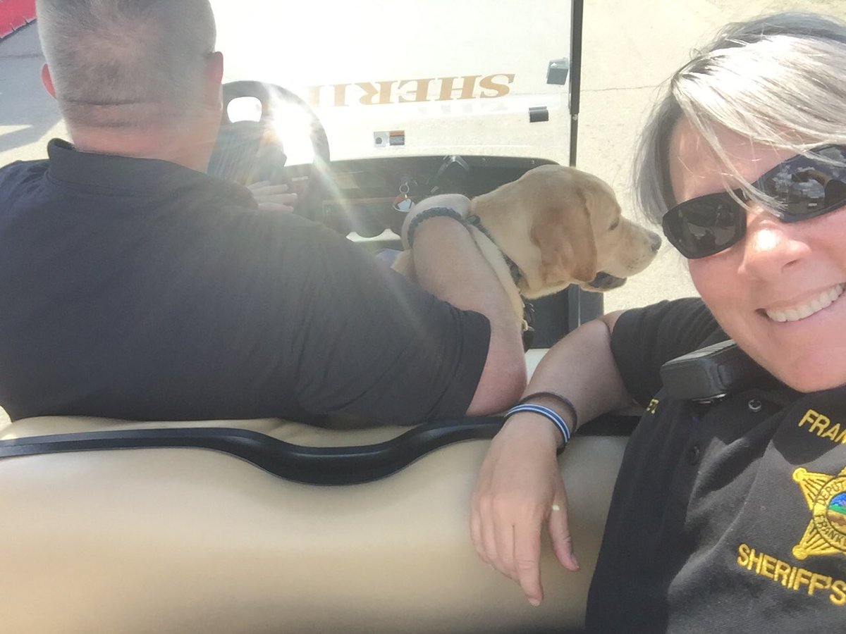 FCSOCrisisK9's tweet photo. Hanging out at the fair with @ohiofop9 and @OHFCSO! Come out and see us! https://t.co/59FiOc1aJg