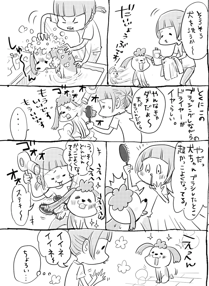 犬と猫どっちも飼ってるからこそシャンプーも楽しめる？やっぱり猫は強いww