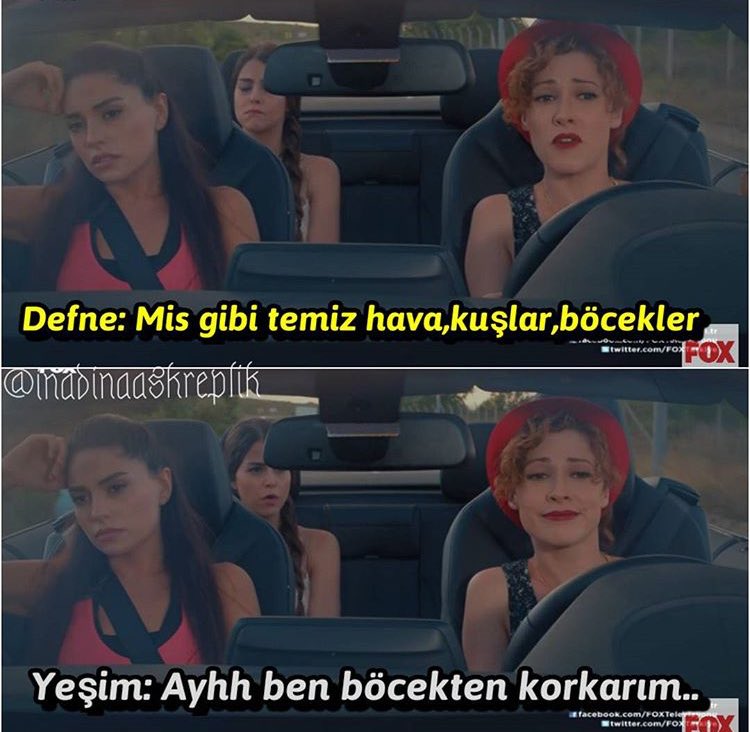 Aaayyyy...arılar, sinekler, böcekler, inekler...ayyy ayyy 😩 #İnadınaAşk