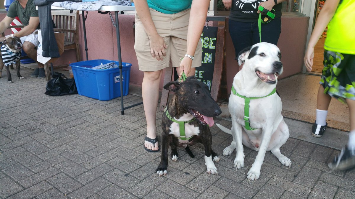 Peace for Pits, Inc tweet media