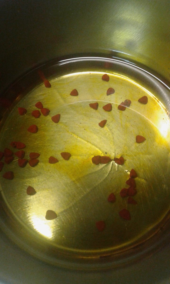 Xelo_Berna's tweet photo. Que ha venido @Roberth_ST a currar el finde a @elgalgoelche y siempre se saca un as de la manga: #achiote infusionado en aceite #vivaelperú https://t.co/Z6jtq686ly