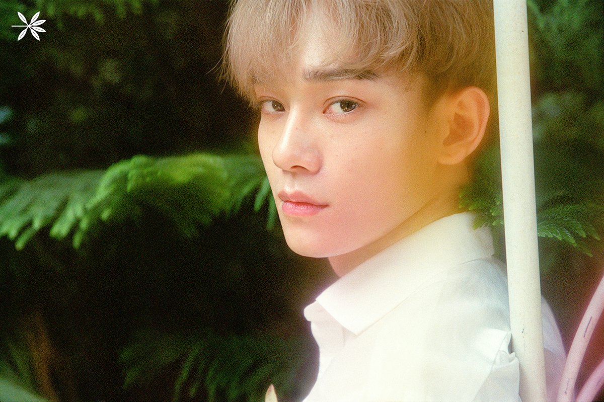 Baideemay's tweet image. #EXO #KoKoBop #TheWarEXO #엑소
#CHEN