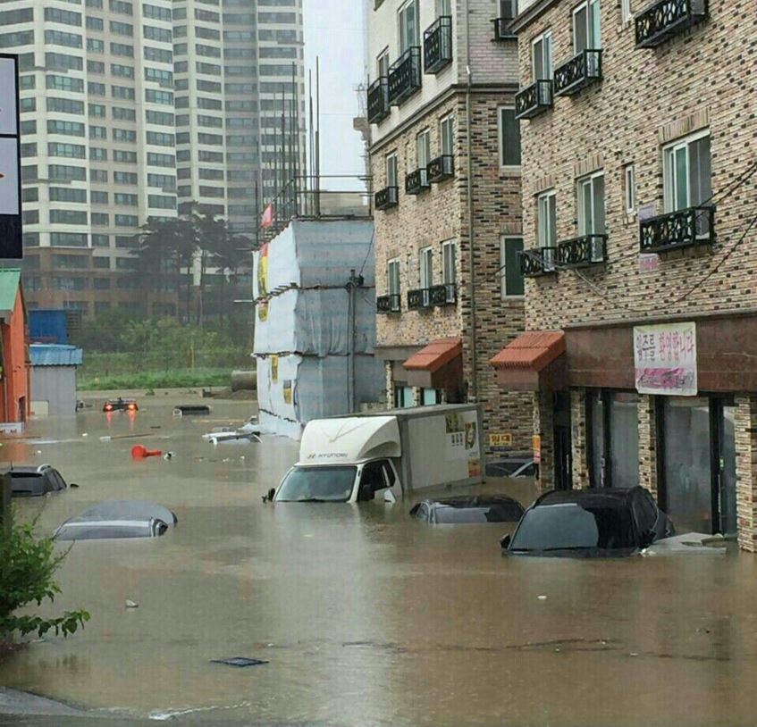 한겨레 tweet media