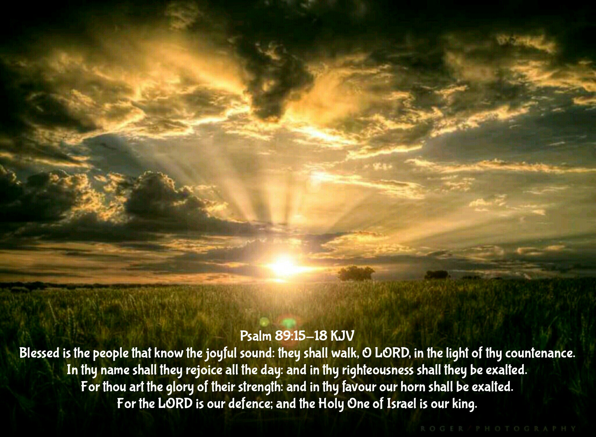 Ps 89 kjv wholesalers brunofuga adv br