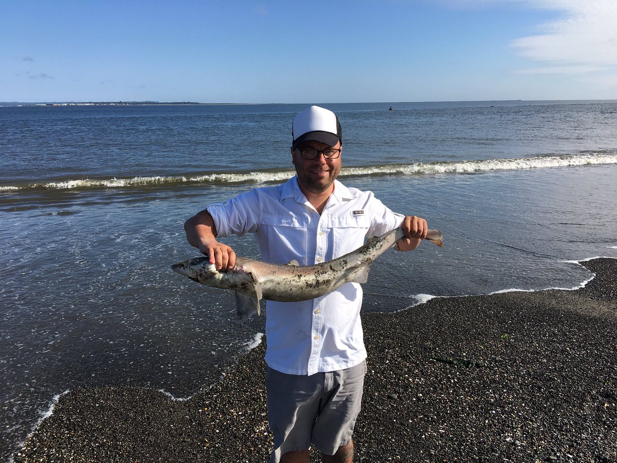 Enddescency's tweet image. Just keep catchin' 'em.