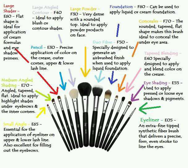 TrueCrimeWithCK's tweet photo. #BrushGuide #Bbloggers https://t.co/h8IJDwYQNC