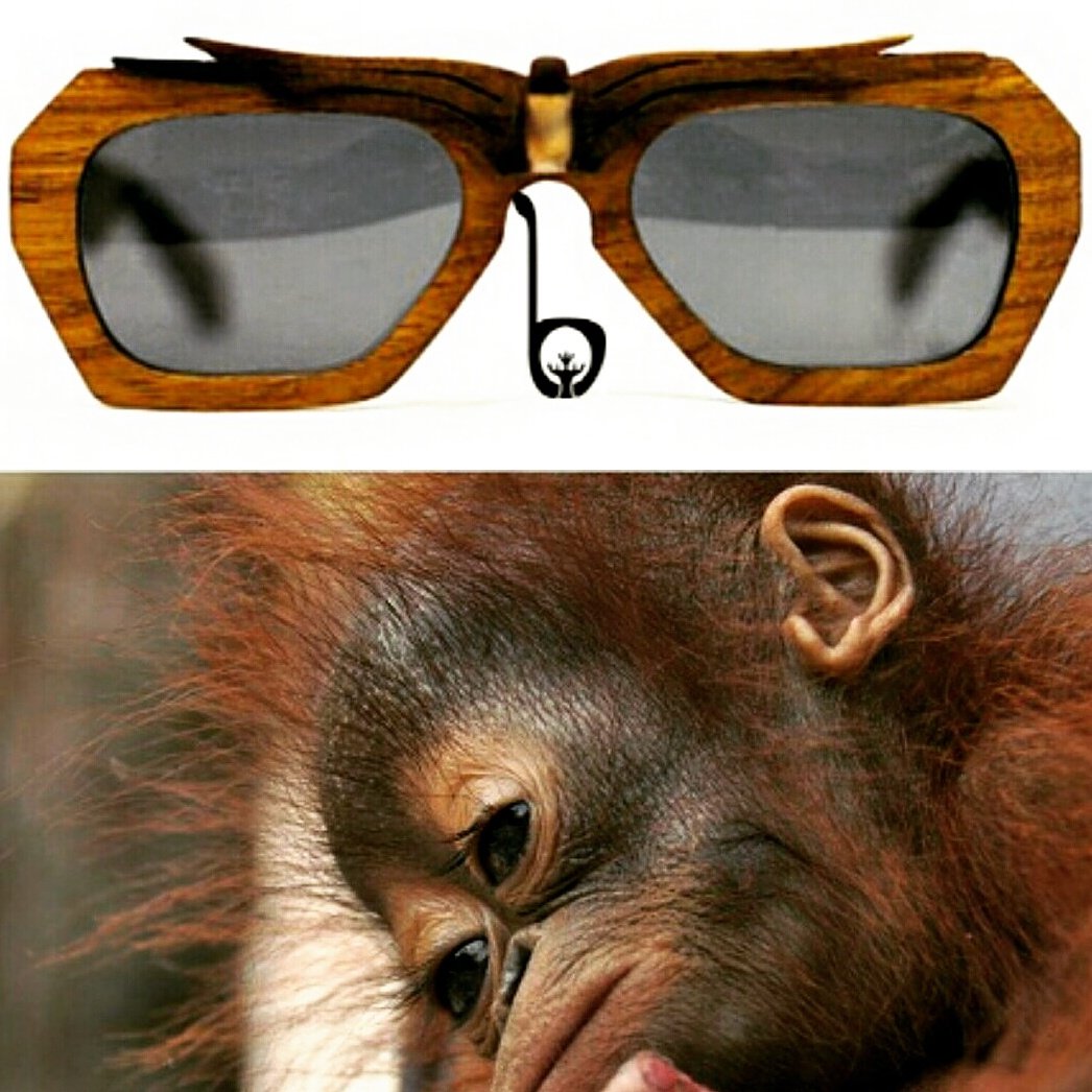 Season Sale: Meet Sura Hornbill! Click: borneoeyewear.com/Collection #wearindonesia #wearyourroots #wearborneo #fundraising #CSR #saveorangutans