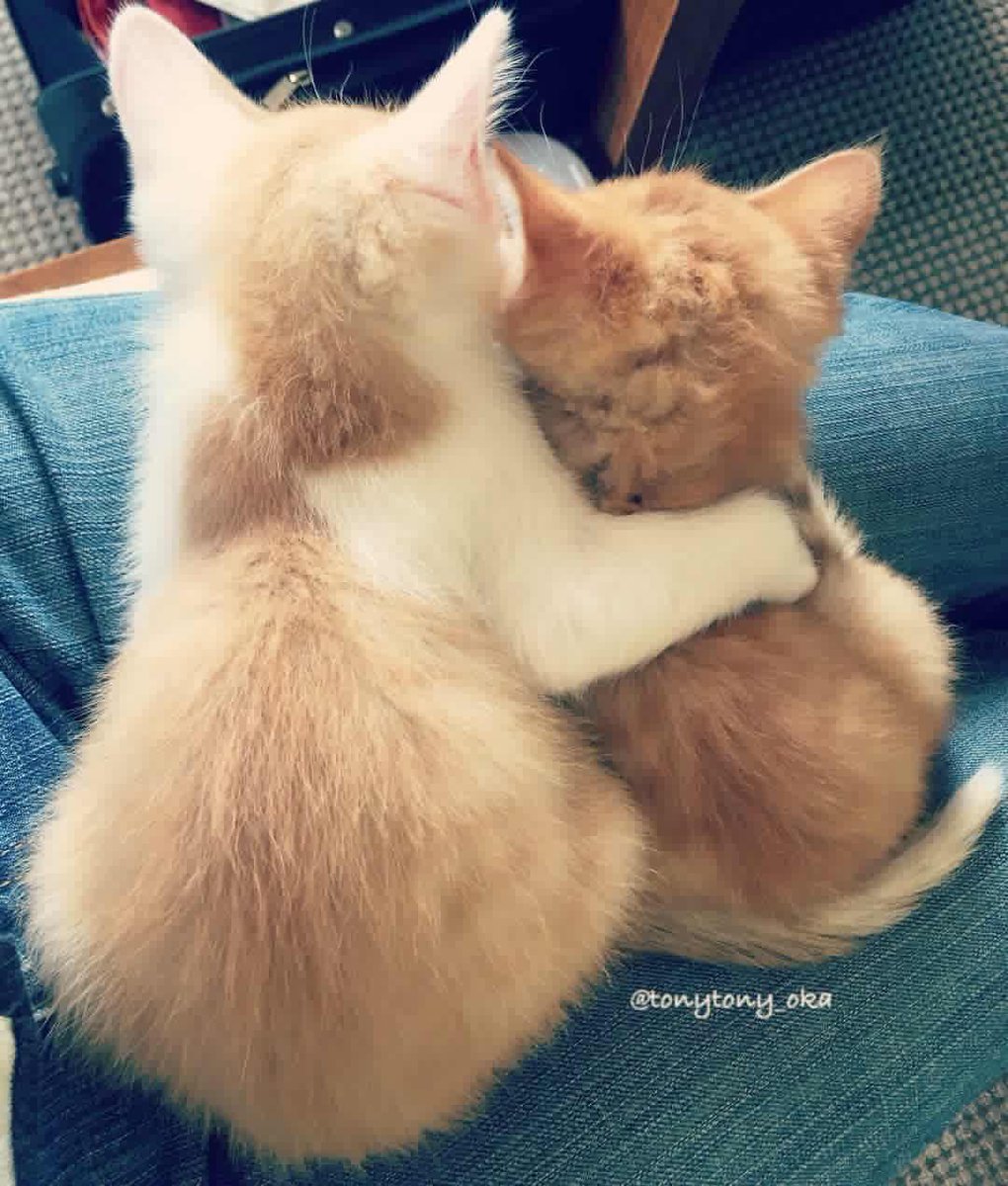 be0mjae's tweet photo. i knew this is familiar 😍😉 #ongniel https://t.co/mDJKjTFM53