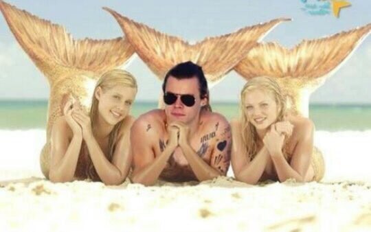 givemeyourhugs's tweet image. От милой @Styusha1882 ; egenia2014 
#ШистадФолловитКаждого