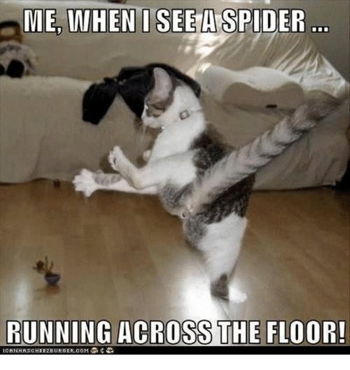 ItsPestControl's tweet image. 