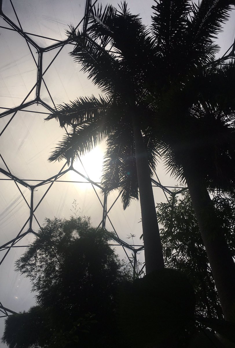 JessMarshall20's tweet photo. @edenproject #edenphotocomp https://t.co/YNahtDRY78
