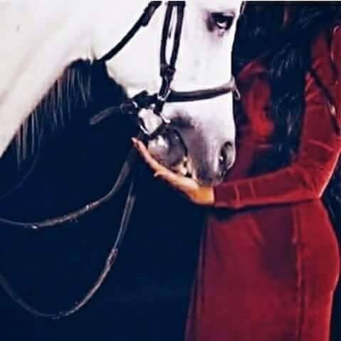 abullmr1's tweet photo. مُهـره عنيدة سـآسـها هيبـة شيوخ...√
بِنت النشاما والفعول الجزيله

المتعبه بِترويـضـهـا كـل مـطـنوخ
الكآيده والنآدره.. والأصيلة√ https://t.co/UjGZ1E7iVk