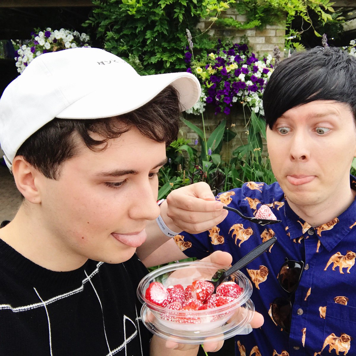 AmazingPhil tweet picture