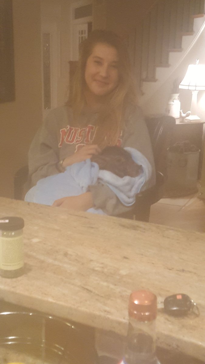 duchessrebecca's tweet photo. Afties. A literal pig in a blanket. Who's life is better? #iowafun https://t.co/4jtm0a8u39