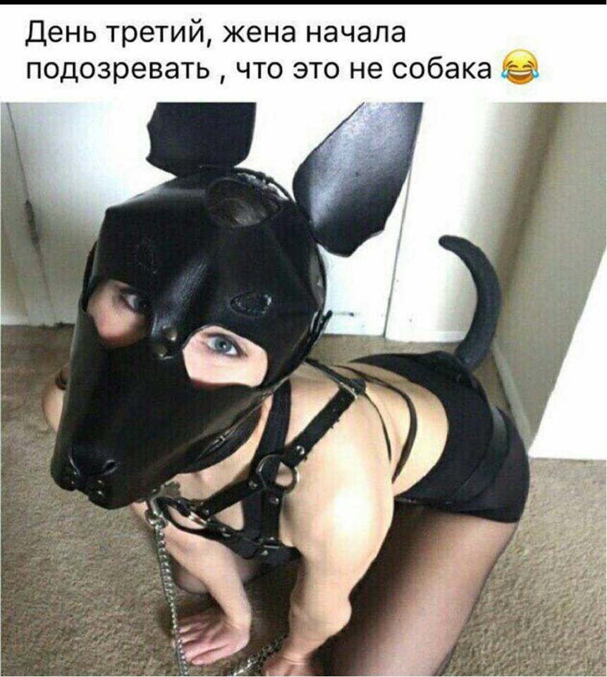 Анекдоты бдсм Анекдты бдсм