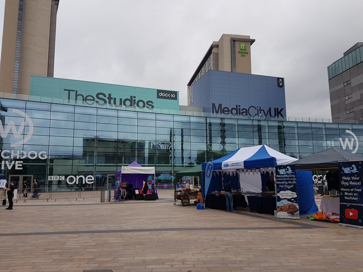 Pugfest today <a href="/MediaCityUK/">MediaCityUK</a> 🐶🐶🐶🐶🐶