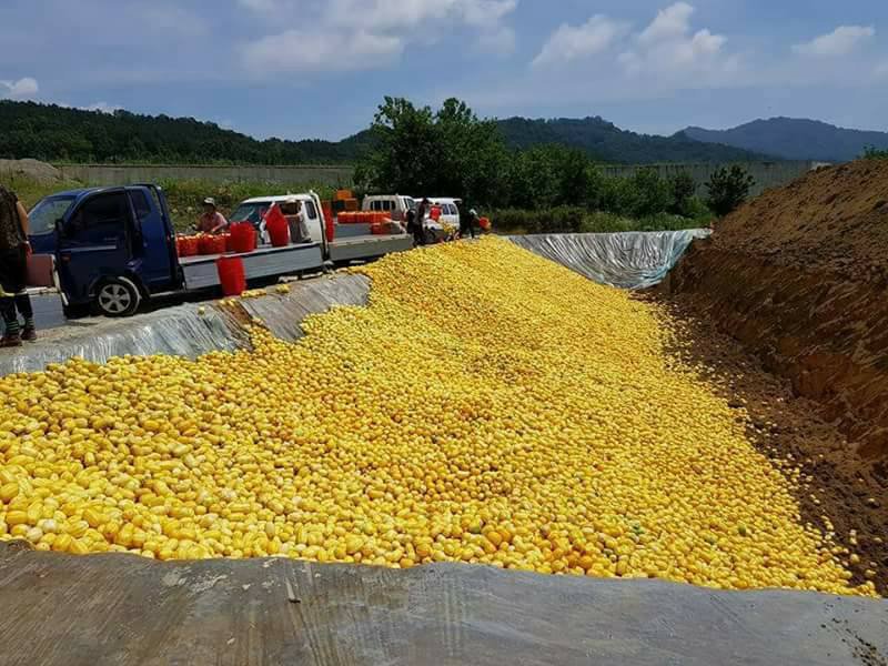 <a href="/ji4346/">그라프</a> <a href="/yoonchansoo/">윤찬수</a> <a href="/heonyeongp/">晁溪 Simeon</a> <a href="/sYhBirrB1SxG7ot/">淸風明月</a> "그래요?
왜 참외를 버렸죠?"

헐~~~모르시나봐요?

.