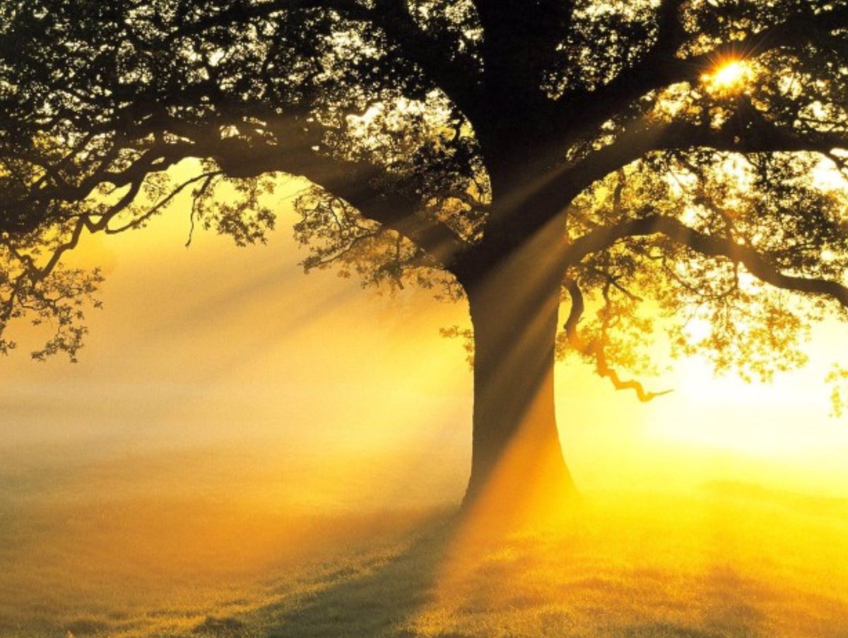 EmailfromHeaven's tweet photo. BEAUTIFUL SUNSHINE ❤️🎶☀️❤️
The
Sun
beams
down
and
everyone
smiles
A~U~M❤️🎶☀️❤️
#Dear Prudence why don't you come out to play
#Beatles https://t.co/0ZPGMBUqsv