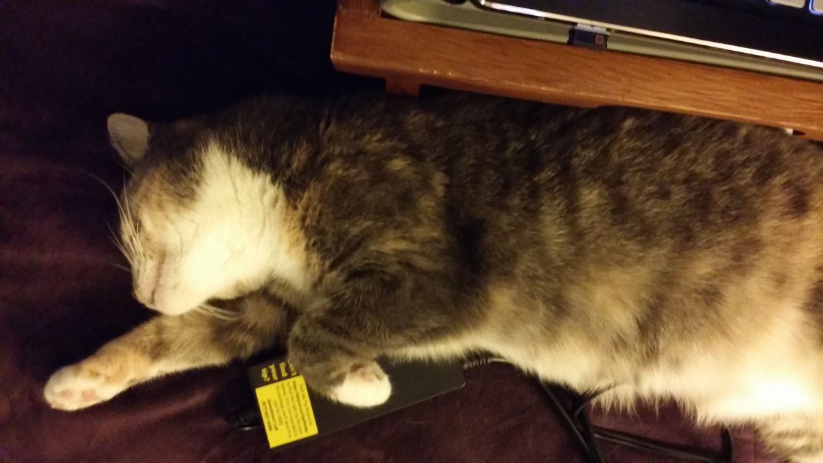 RoundTableEd's tweet image. Don't stress over #editing &amp;amp; #formatting! BZHercules can help! buff.ly/2vcogTN