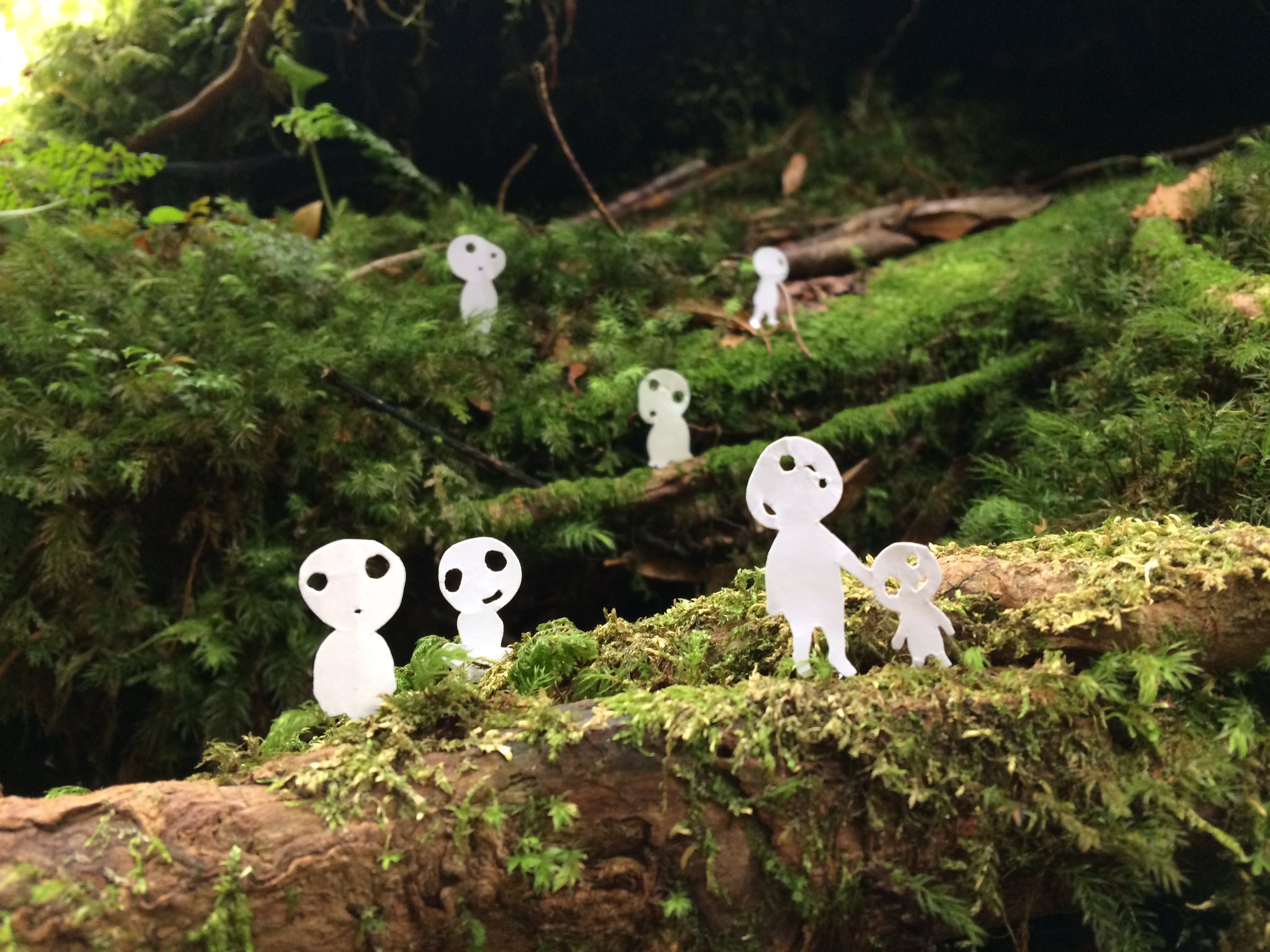 河野耕平 苔むす森で切り絵のこだまを置いてみました 切り絵 Papercutting 屋久島 もののけ姫 白谷雲水峡 T Co Jprhzxpqxz Twitter 河野耕平 苔むす森で切り絵のこだまを置いてみました 切り絵 Papercutting 屋久島 もののけ姫 白谷雲水峡 T Co Jprhzxpqxz Twitter