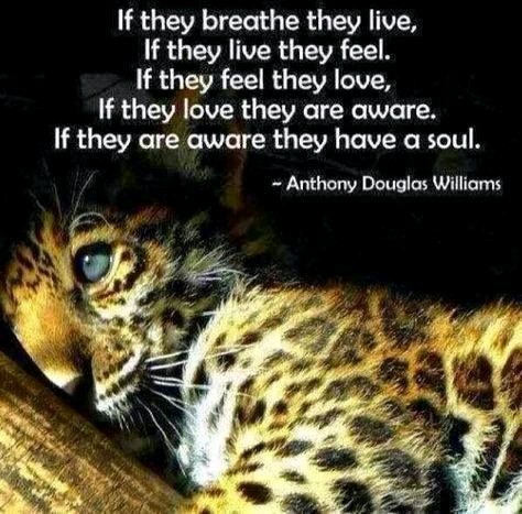 Protect_Wldlife's tweet image. #ThoughtForTheDay from Anthony Douglas Williams.